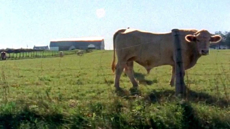 кадр из фильма Québec à vendre