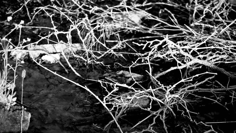 кадр из фильма ¿Hypnosis?