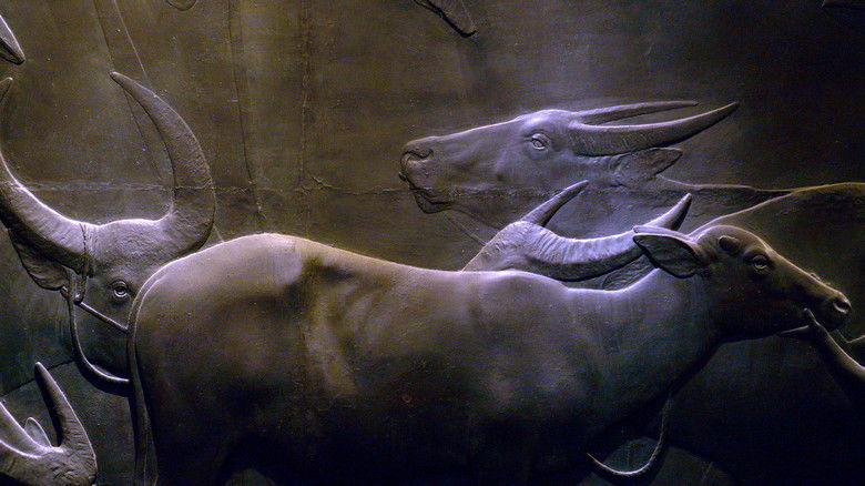 кадр из фильма 光