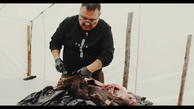 кадр из фильма Harvesting Traditional Innu Foods: Amishkᵘ