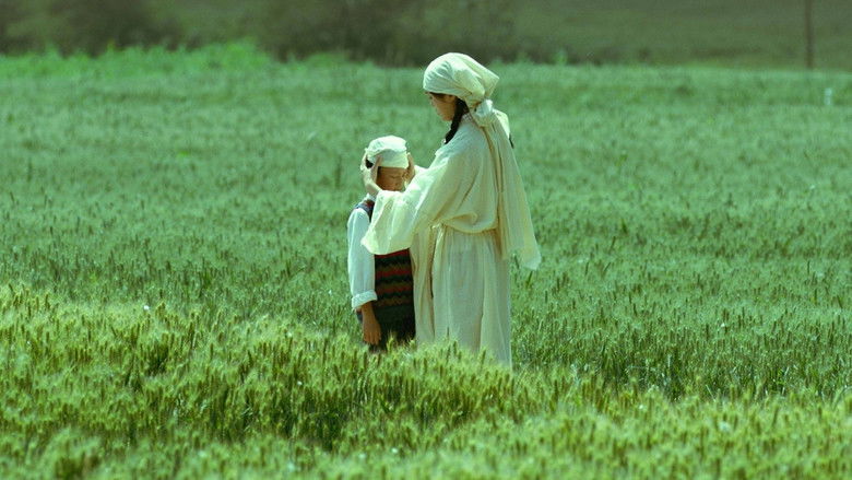 кадр из фильма 生息之地