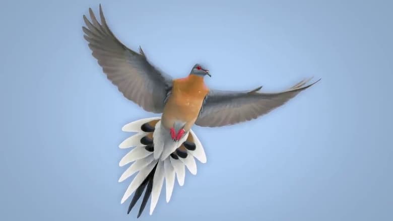 кадр из фильма From Billions to None: The Passenger Pigeon's Flight to Extinction