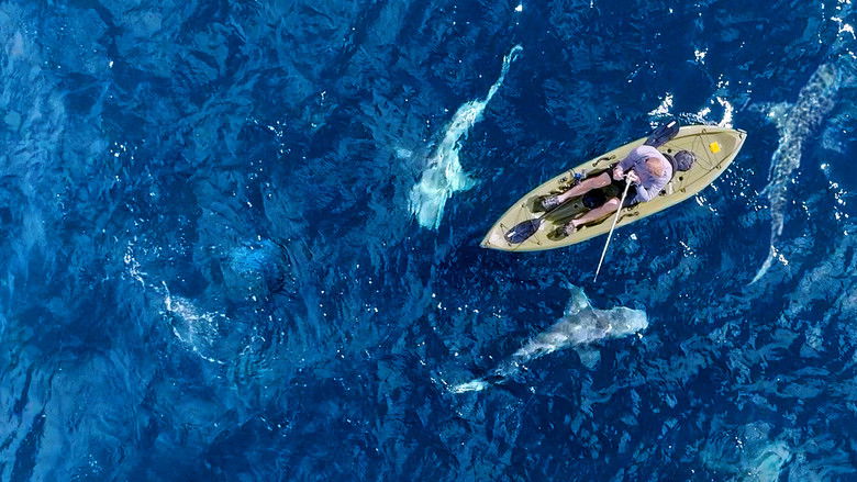 кадр из фильма Челюсти за бортом