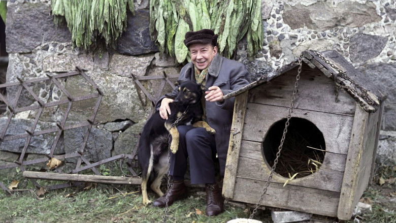 кадр из фильма Milioner