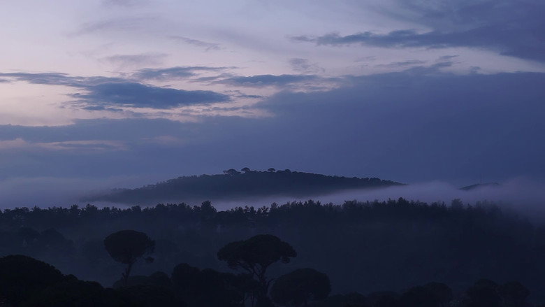 кадр из фильма Esrime