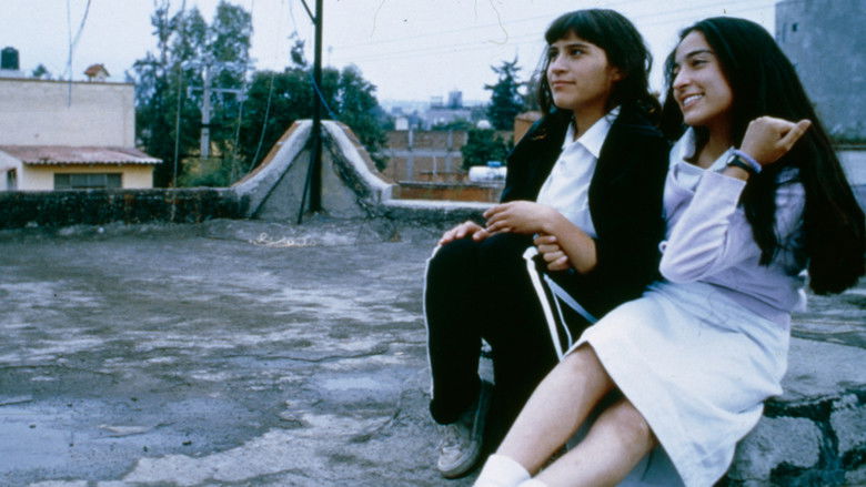 кадр из фильма Nadie te oye: perfume de violetas