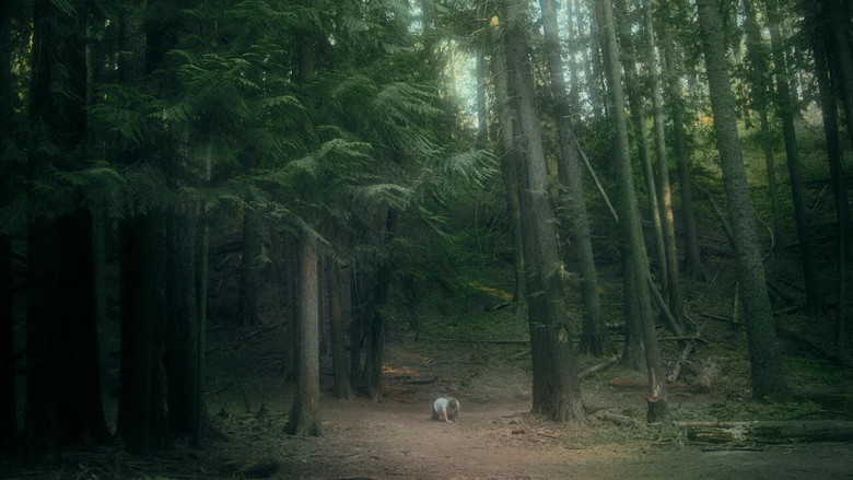 кадр из фильма Tortoise & Hare