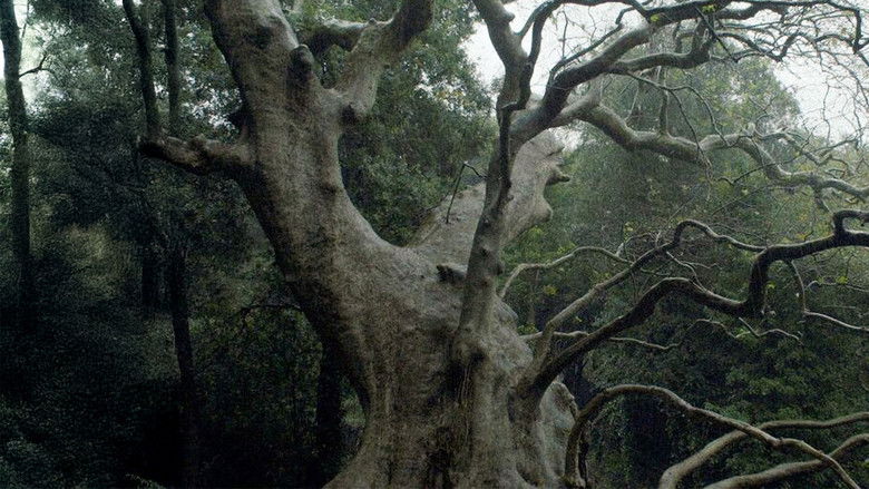 кадр из фильма Nuovo cinema paralitico