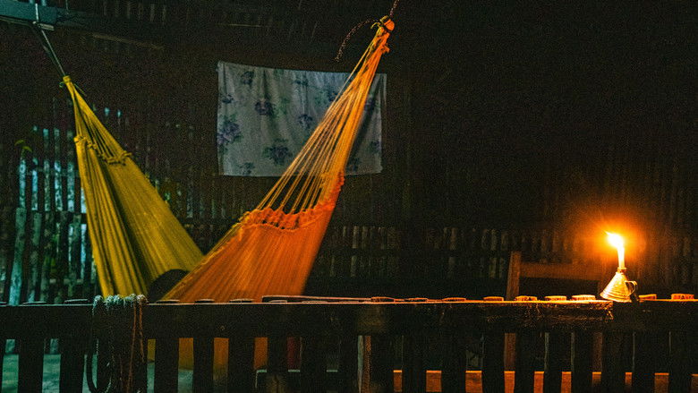 кадр из фильма Rezadeira