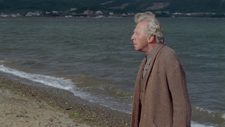 кадр из фильма Le dernier havre