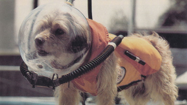 кадр из фильма Benji at Marineland