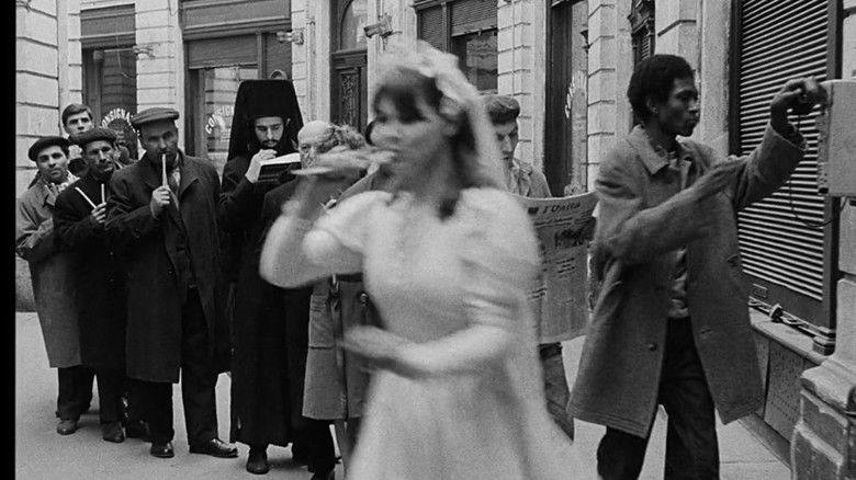 кадр из фильма Piscicultura