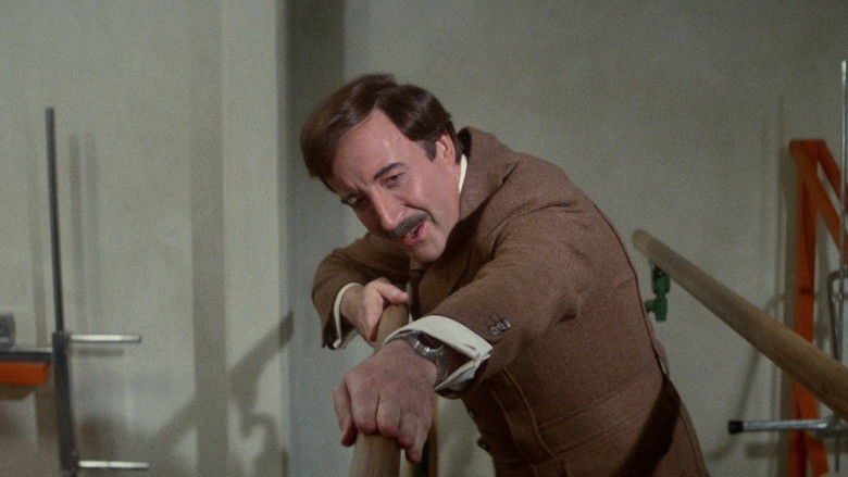 кадр из фильма Розовая пантера наносит ответный удар