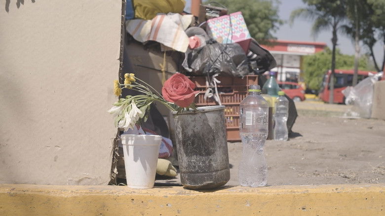 кадр из фильма Escondidos