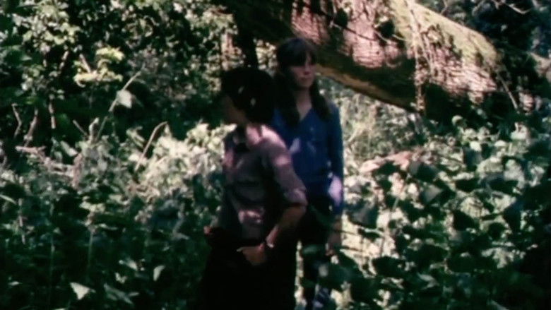 кадр из фильма The Bells of Astercote