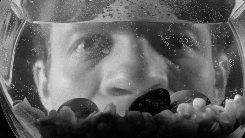 кадр из фильма Поцелуй убийцы