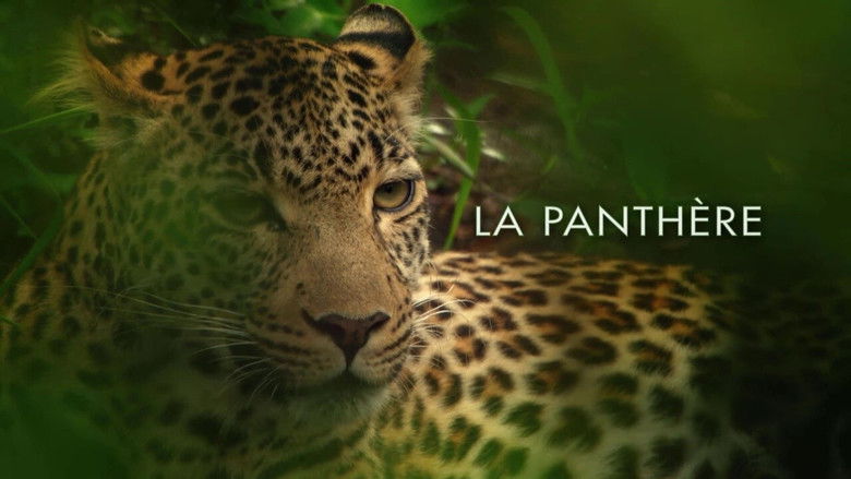 кадр из фильма Die Leopardin