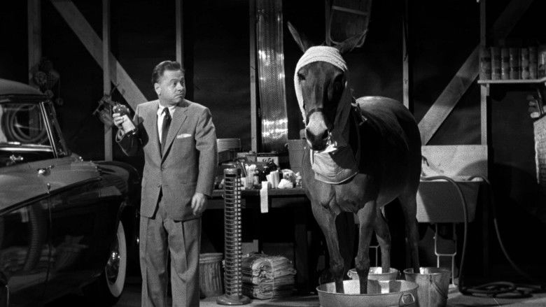 кадр из фильма Фрэнсис в доме с привидениями