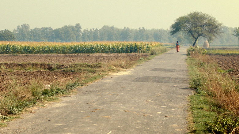 кадр из фильма Le Champ de Maïs