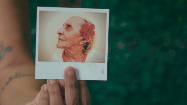 кадр из фильма Tereza e Bruno