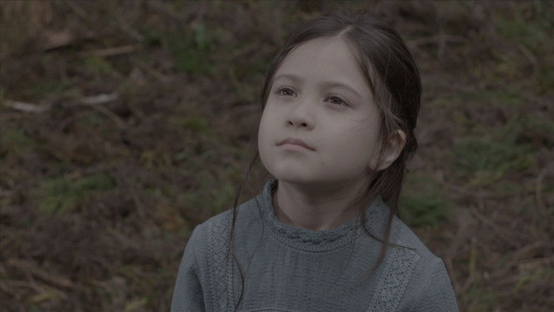 кадр из фильма 서서평, 천천히 평온하게