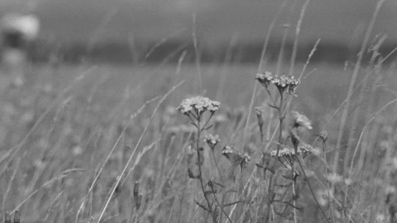 кадр из фильма Крылья