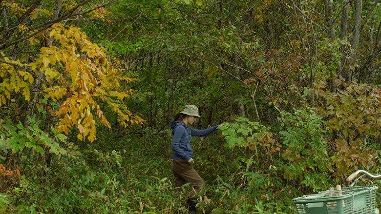 кадр из фильма Маленький лес. Лето, осень