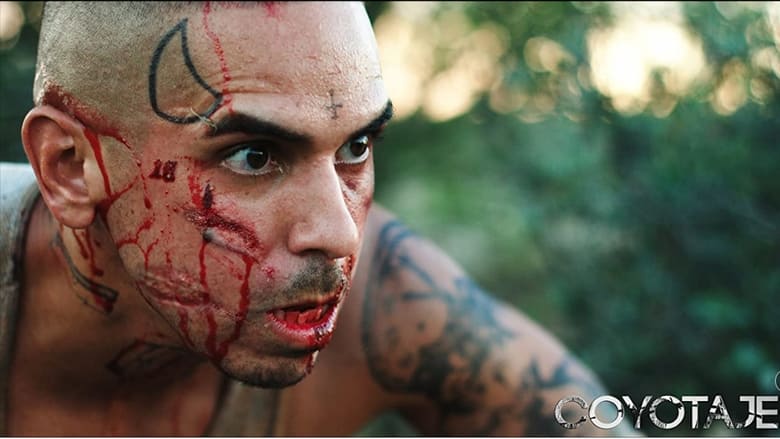 кадр из фильма Охота на койота