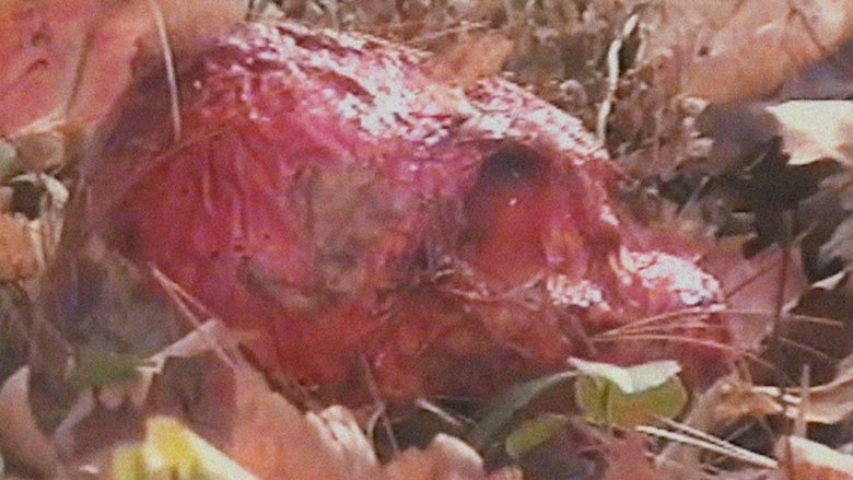 кадр из фильма Bonkey: The Mutated