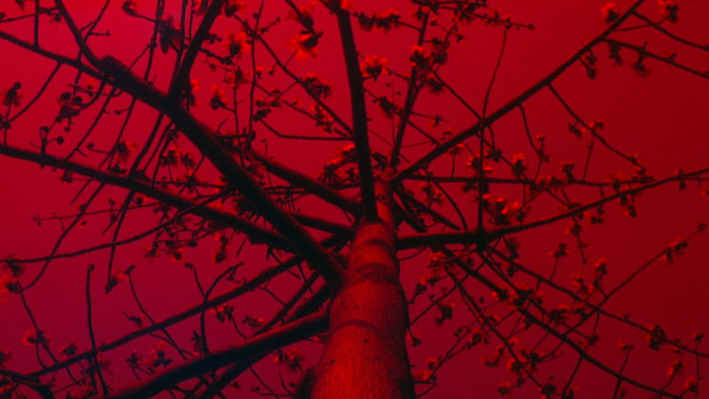 кадр из фильма Приворожённый