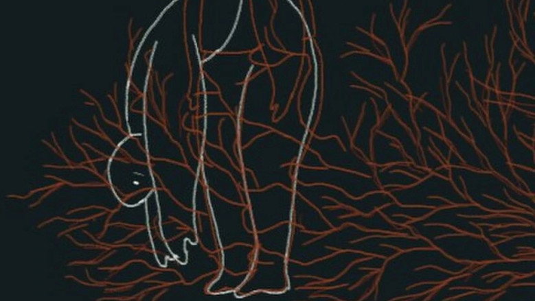 кадр из фильма Veins of Anxiety