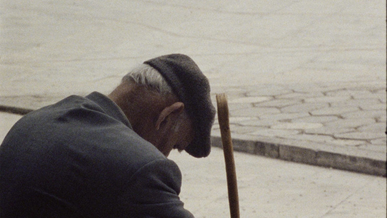 кадр из фильма Among the Eucalyptuses