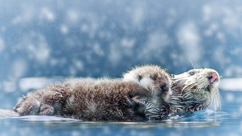 кадр из фильма Spy in the Snow