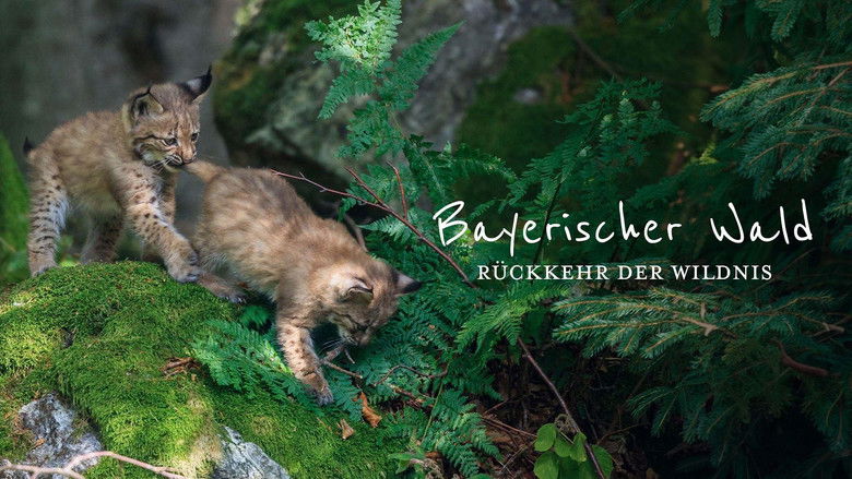 кадр из фильма Der wilde Wald