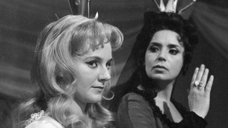 кадр из фильма O pasáčkovi a labutích princeznách