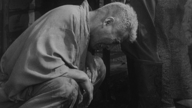 кадр из фильма Я живу в страхе