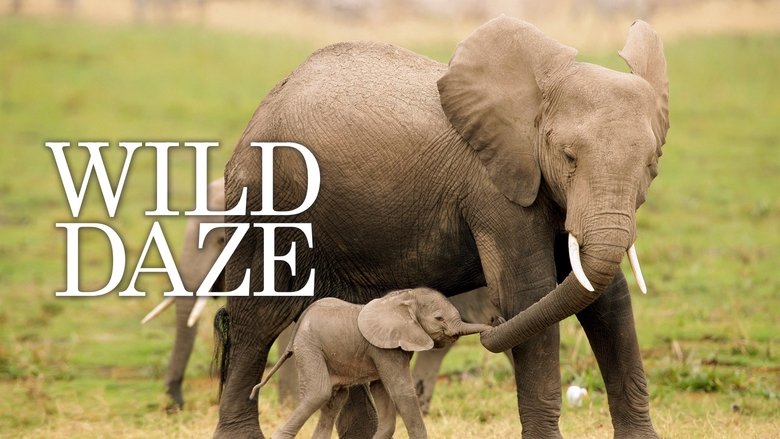 кадр из фильма Wild Daze