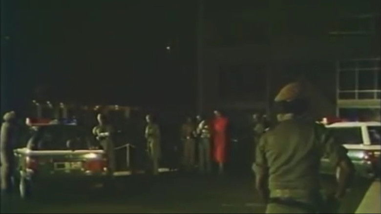 кадр из фильма Le singe fou