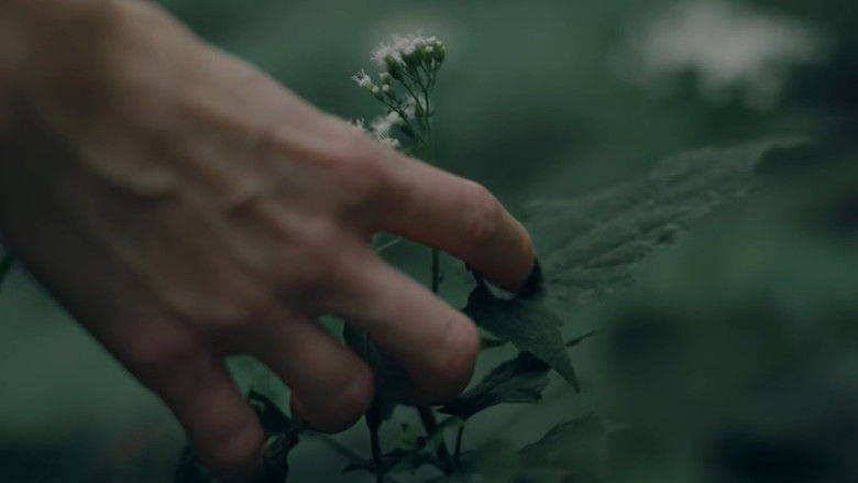 кадр из фильма After Her