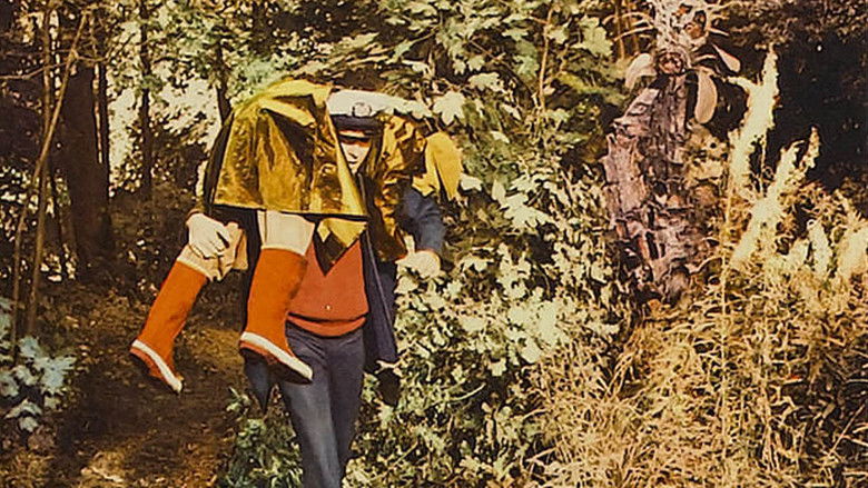 кадр из фильма День триффидов