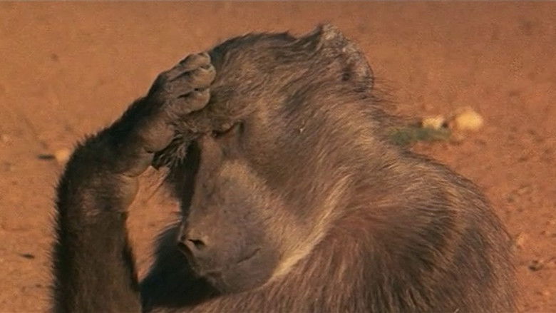 кадр из фильма Животные — прекрасные люди