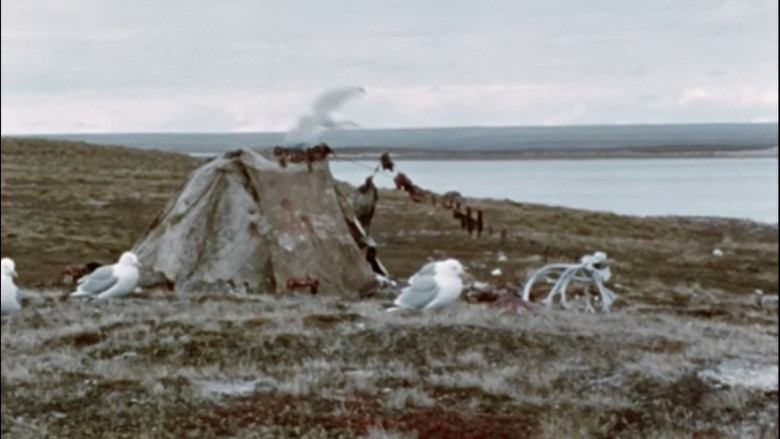 кадр из фильма Netsilik Eskimo, II: At the Caribou Crossing Place