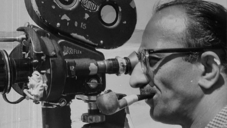 And I Make Short Films