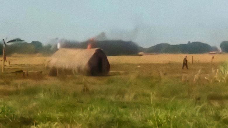 кадр из фильма Paraíso