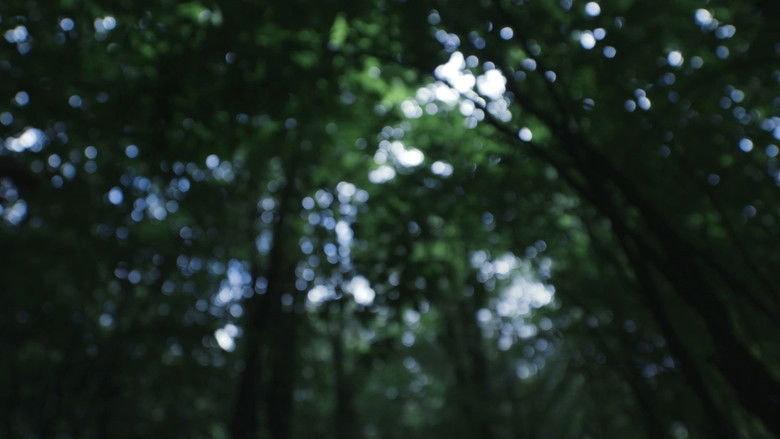 кадр из фильма Lo Que Queda en la Tierra