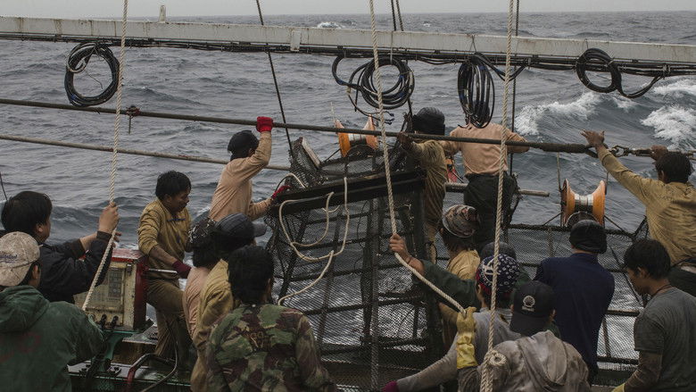 кадр из фильма 水路—遠洋紀行