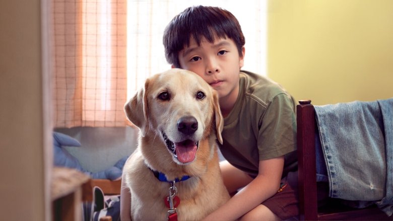 кадр из фильма 我的狗蚪蚪