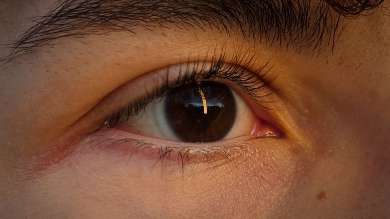 кадр из фильма Bon Vivant