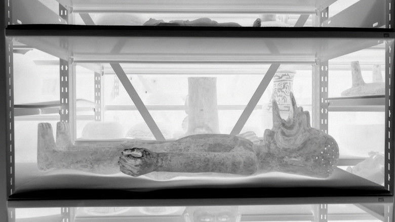 кадр из фильма Tótem