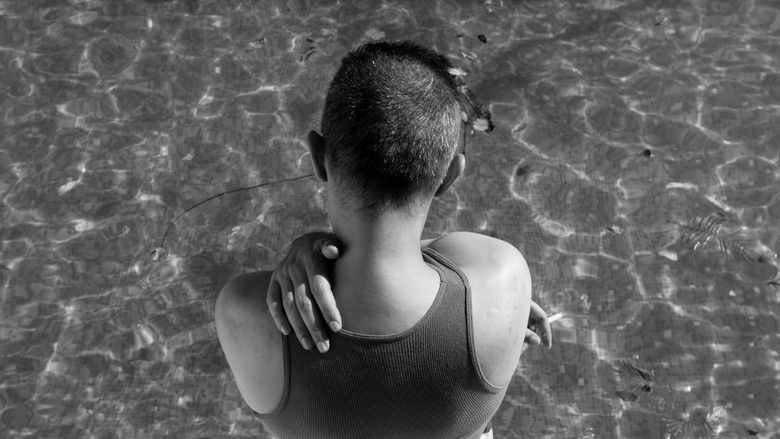 кадр из фильма La sinfonía del sandwich